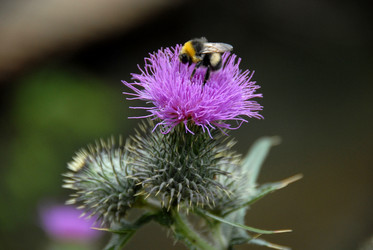 Similar image 11457044