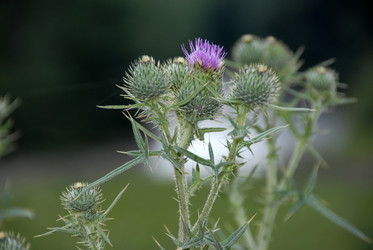 Similar image 11457046