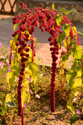 Similar image 11457047