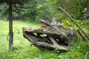 Similar image 11457048