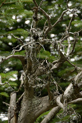 Similar image 11457050