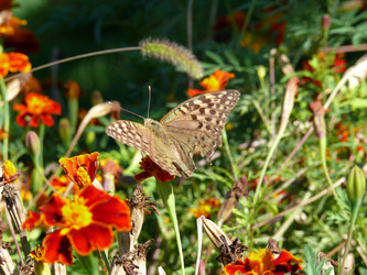 Similar image 11457051