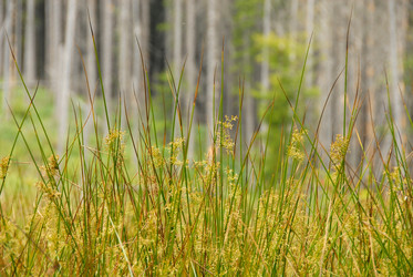 Similar image 11457052