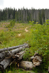 Similar image 11457054