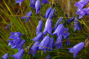 Similar image 11457056