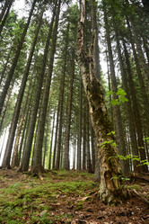 Similar image 11457058