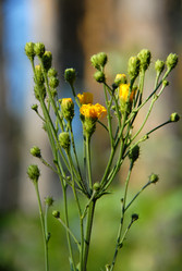 Similar image 11457060