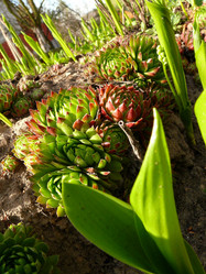 Similar image 11457062