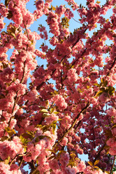 Similar image 11457083