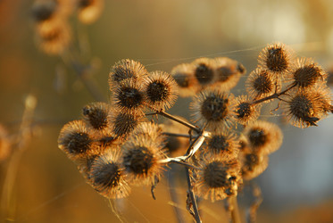 Similar image 11457085