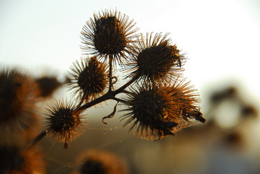 Similar image 11457086