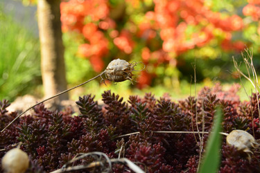 Similar image 11457087