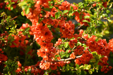 Similar image 11457088