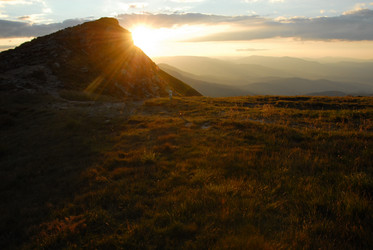 Similar image 11457098