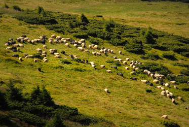 Similar image 11457100