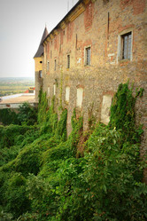 Similar image 11456985