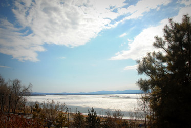 Similar image 11456989