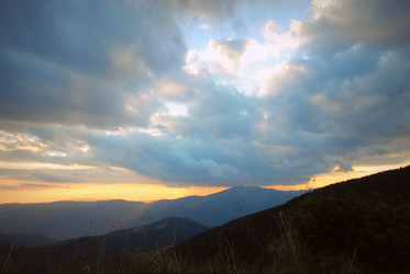 Similar image 11456991