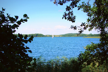 Similar image 11456995