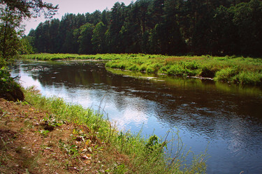 Similar image 11457002