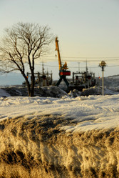 Similar image 11457103