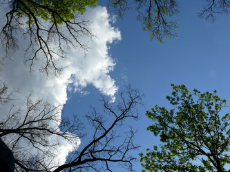 Similar image 11457107