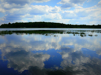 Similar image 11457114