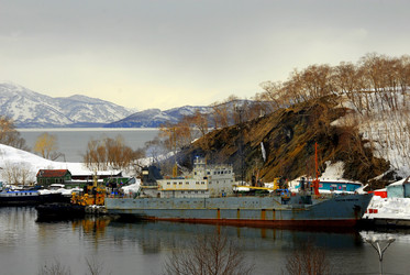 Similar image 11457116