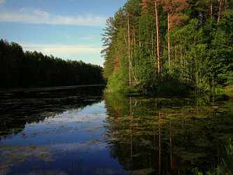 Similar image 11457118