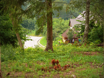 Similar image 11457124