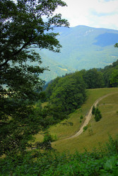 Similar image 11457126