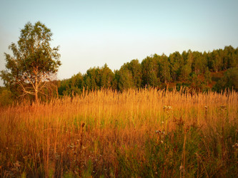 Similar image 11456368