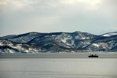 Similar image 11456369