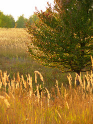 Similar image 11456370