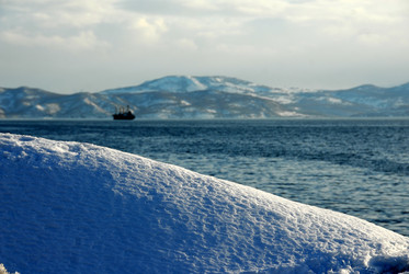 Similar image 11456371