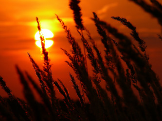 Similar image 11456372