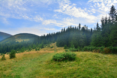 Similar image 11456374