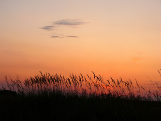 Similar image 11456386