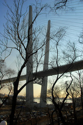 Similar image 11456393