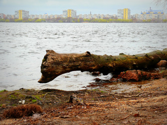 Similar image 11456806