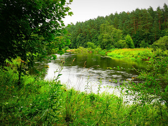 Similar image 11456813