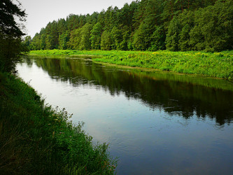 Similar image 11456846