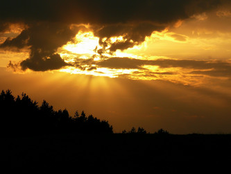 Similar image 11456848