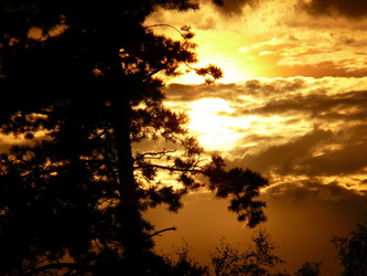 Similar image 11456849