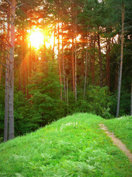 Similar image 11456850