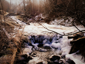 Similar image 11456851