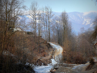 Similar image 11456852