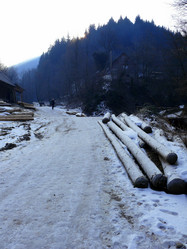 Similar image 11456854