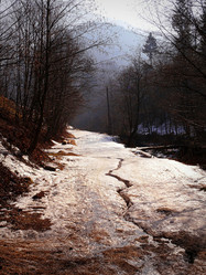 Similar image 11456857