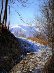 Similar image 11456858